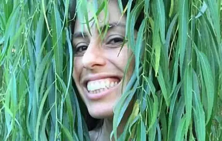 Algumas ideias verdes para mudar o mundo