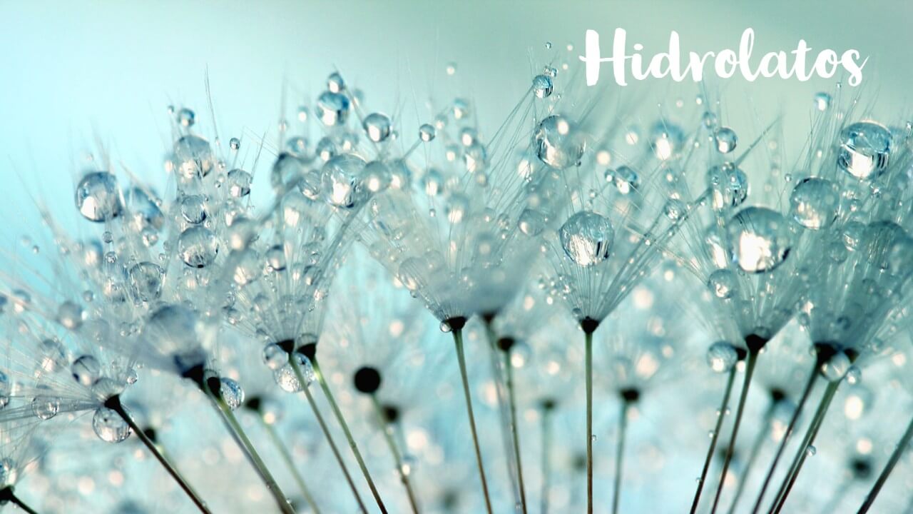 O poder do hidrolatos para a beleza e a saúde, Blog da Loja Caule.