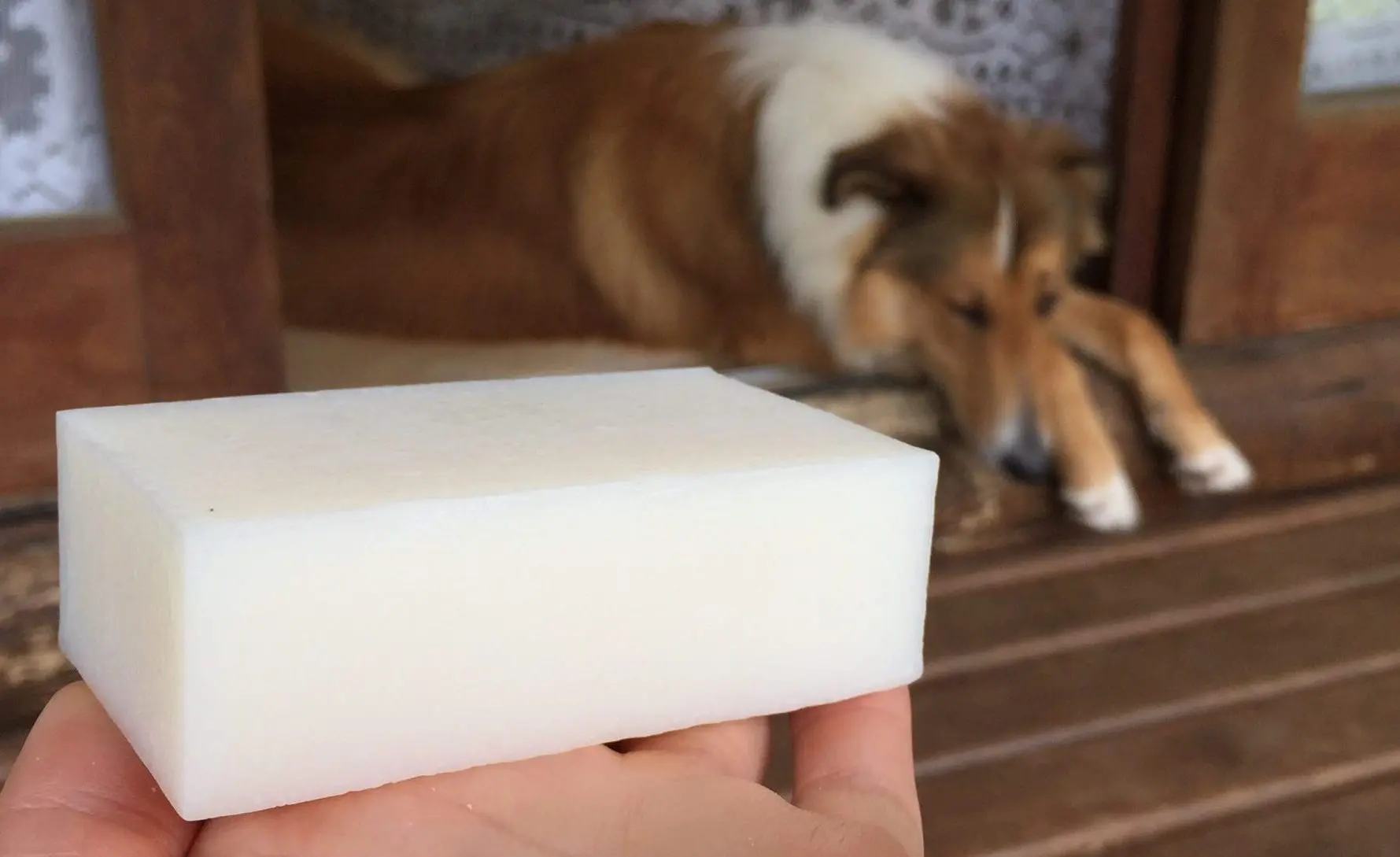 Sabão de coco natural na Loja Caule.